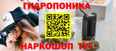 шишки Янаул