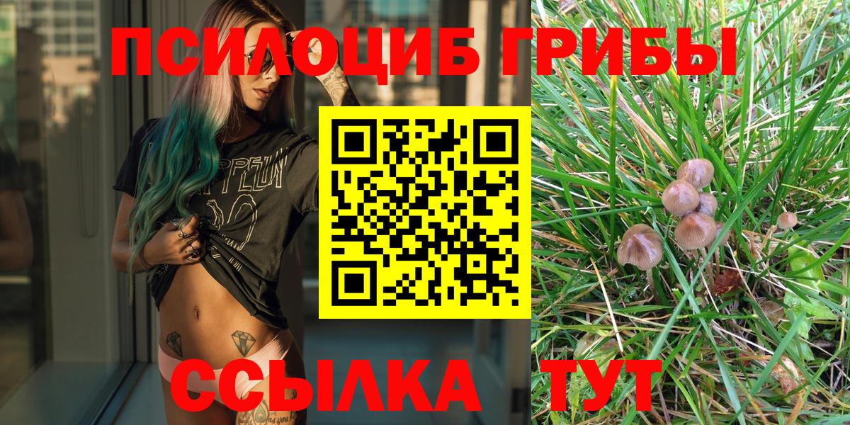 Галлюциногенные грибы Cubensis Дивногорск